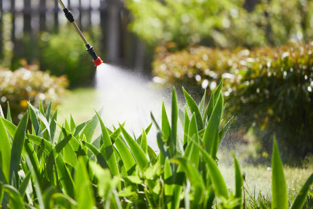 Tamper-Resistant Bait Stations for Rodents in Haslett