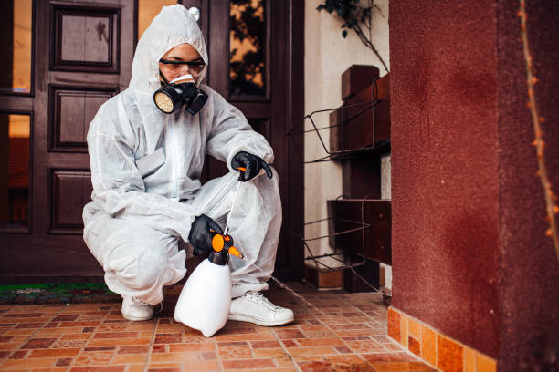 Attic and Crawl Space Rodent Treatment in Haslett