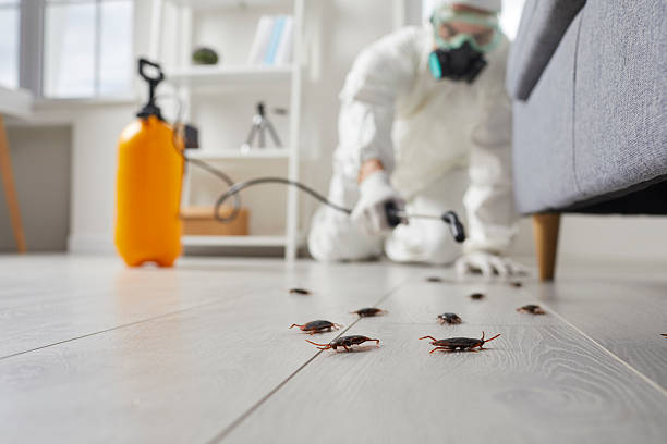 Commercial Rodent Management in Haslett